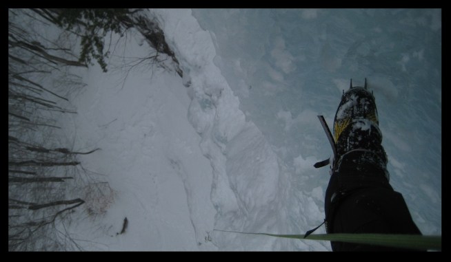 blog chia looking down